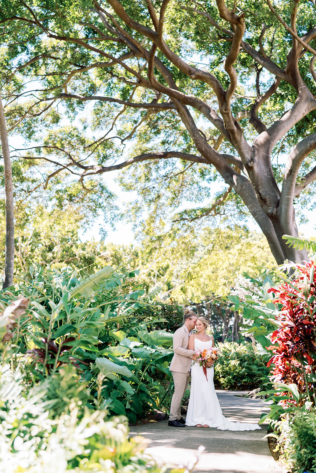 lush trees cover a bride and groom on the island of maui